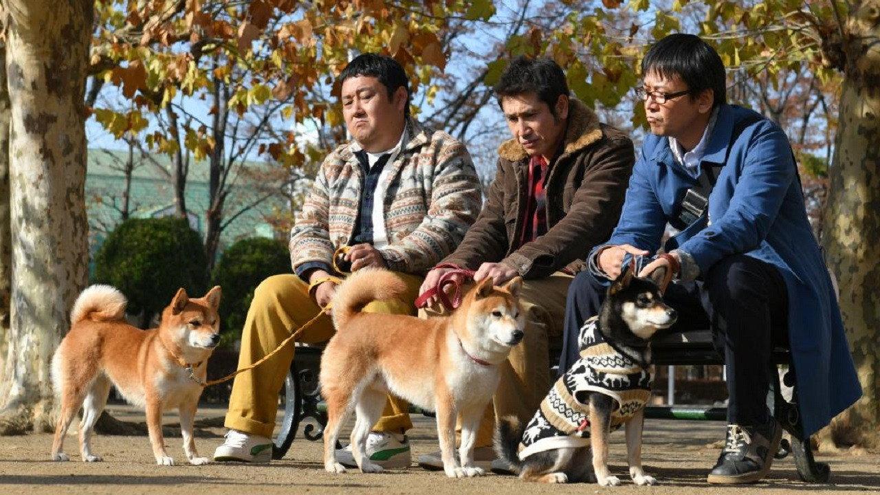 Shiba Park 2019 movie scene