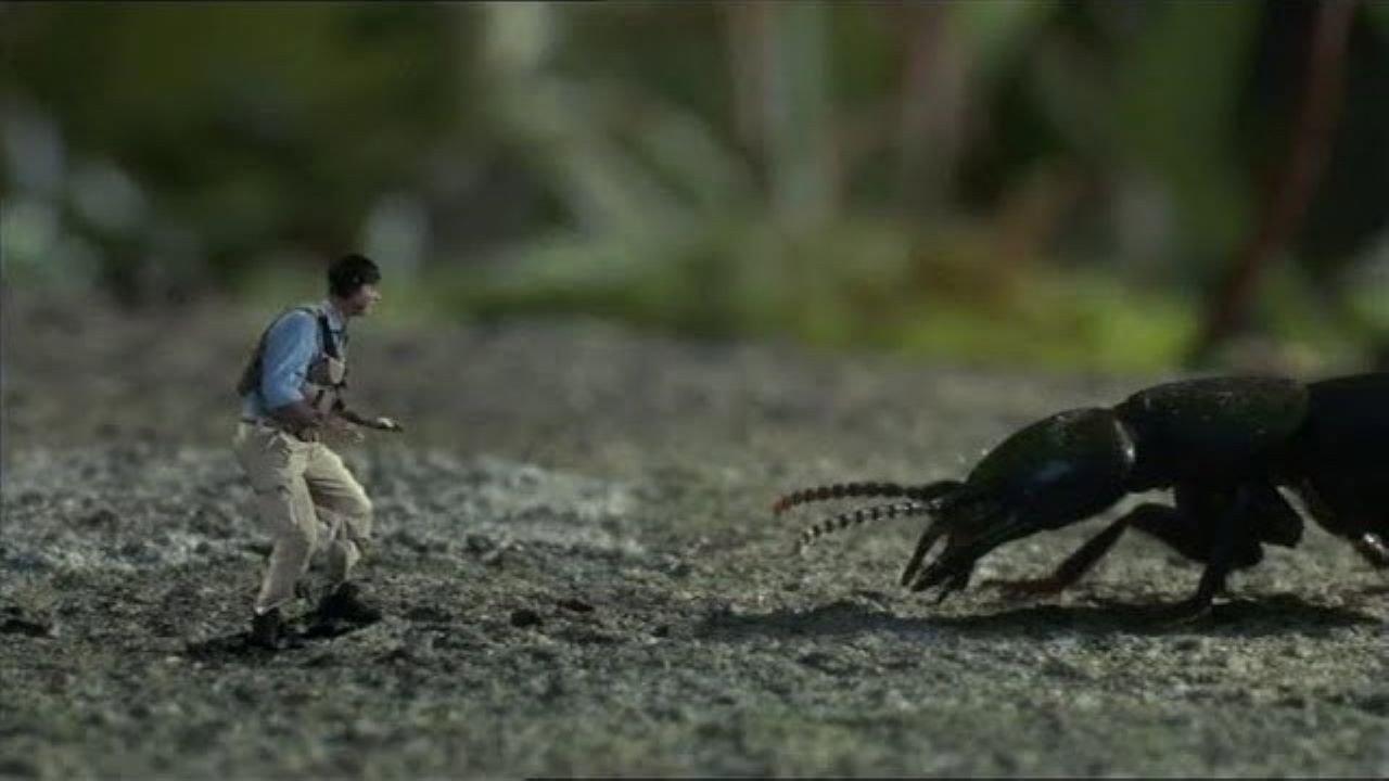 Help! I'm No Bigger Than a Bug 2008 movie scene