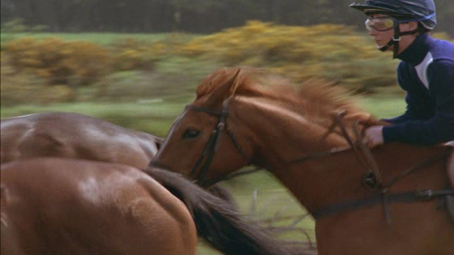 Shergar 1999 movie scene