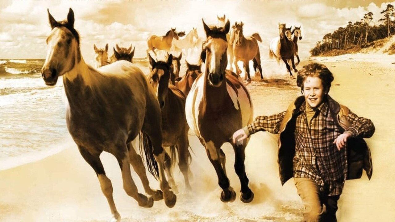 Touching Wild Horses 2011 movie scene