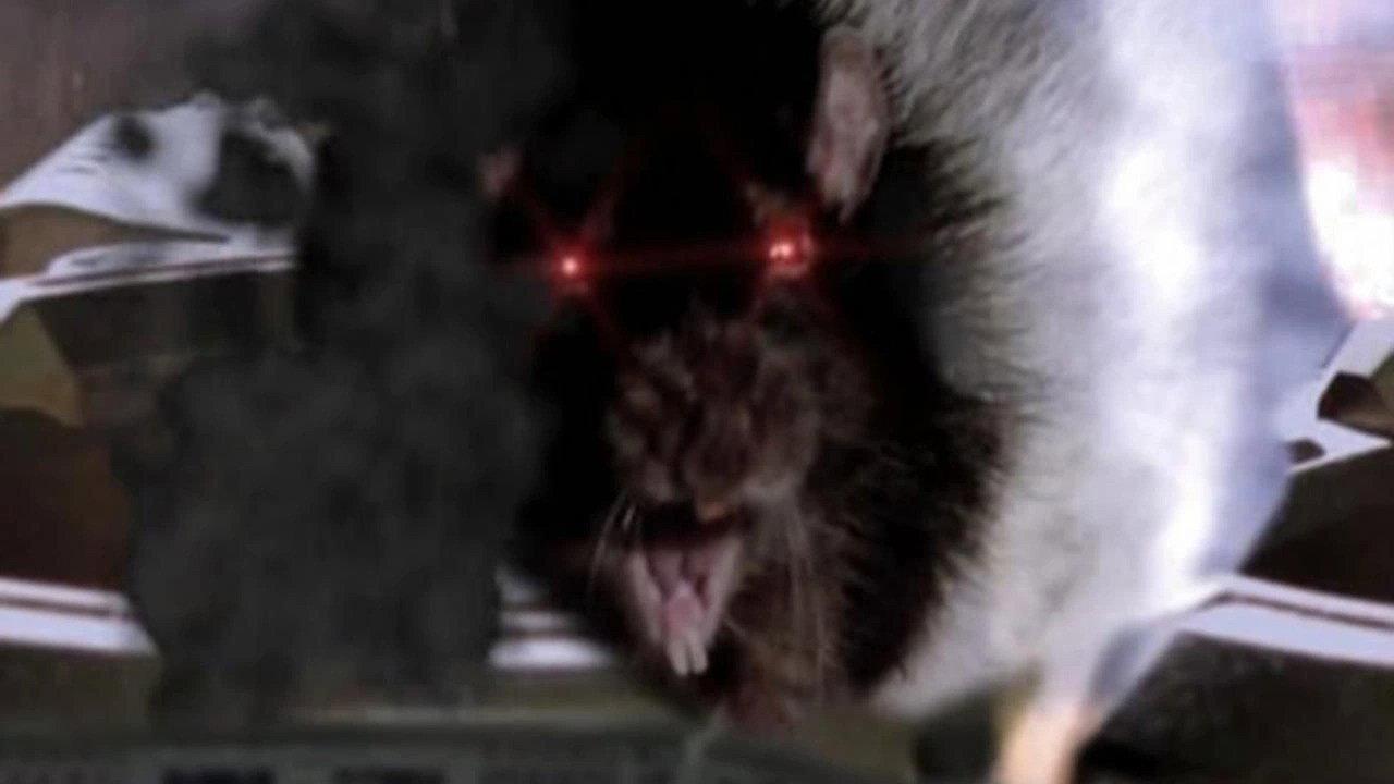 Rat Scratch Fever 2011 movie scene