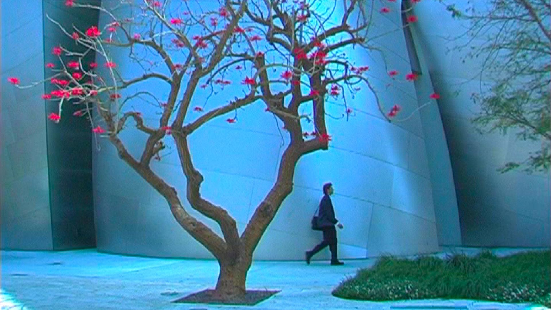 Time and Tide 2006 movie scene