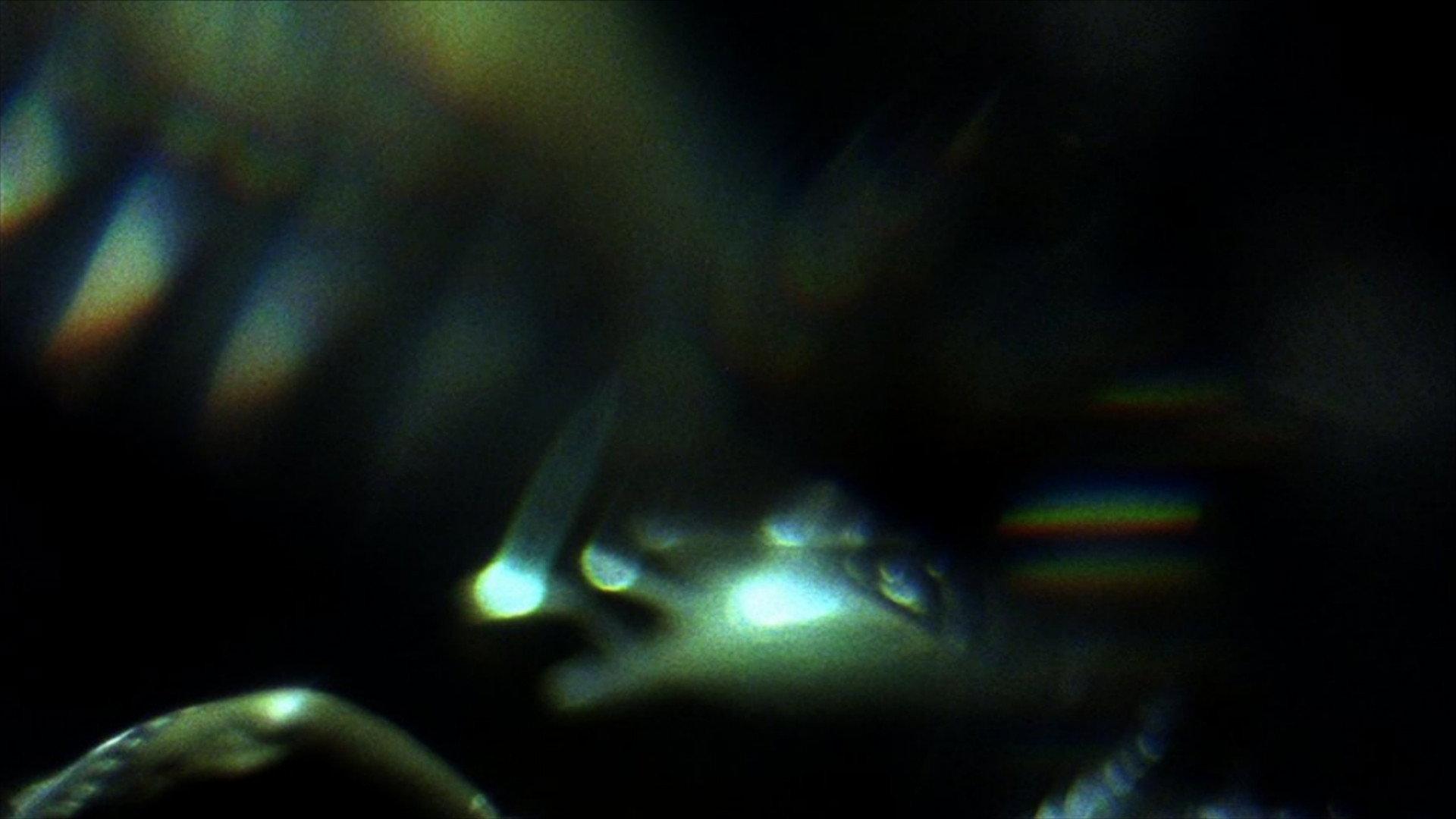 Prisms 2012 movie scene