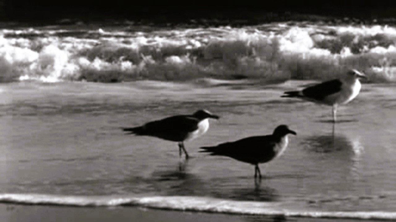 Moods of the Sea 1942 movie scene