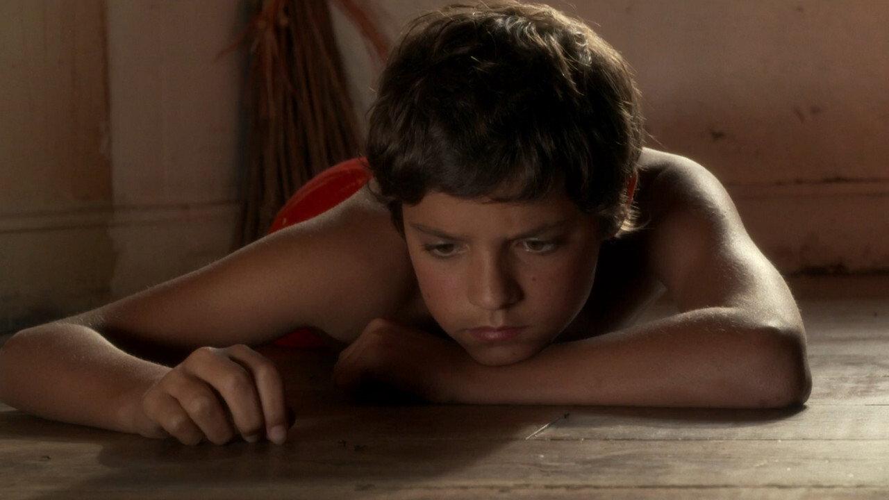 The Little King 2012 movie scene