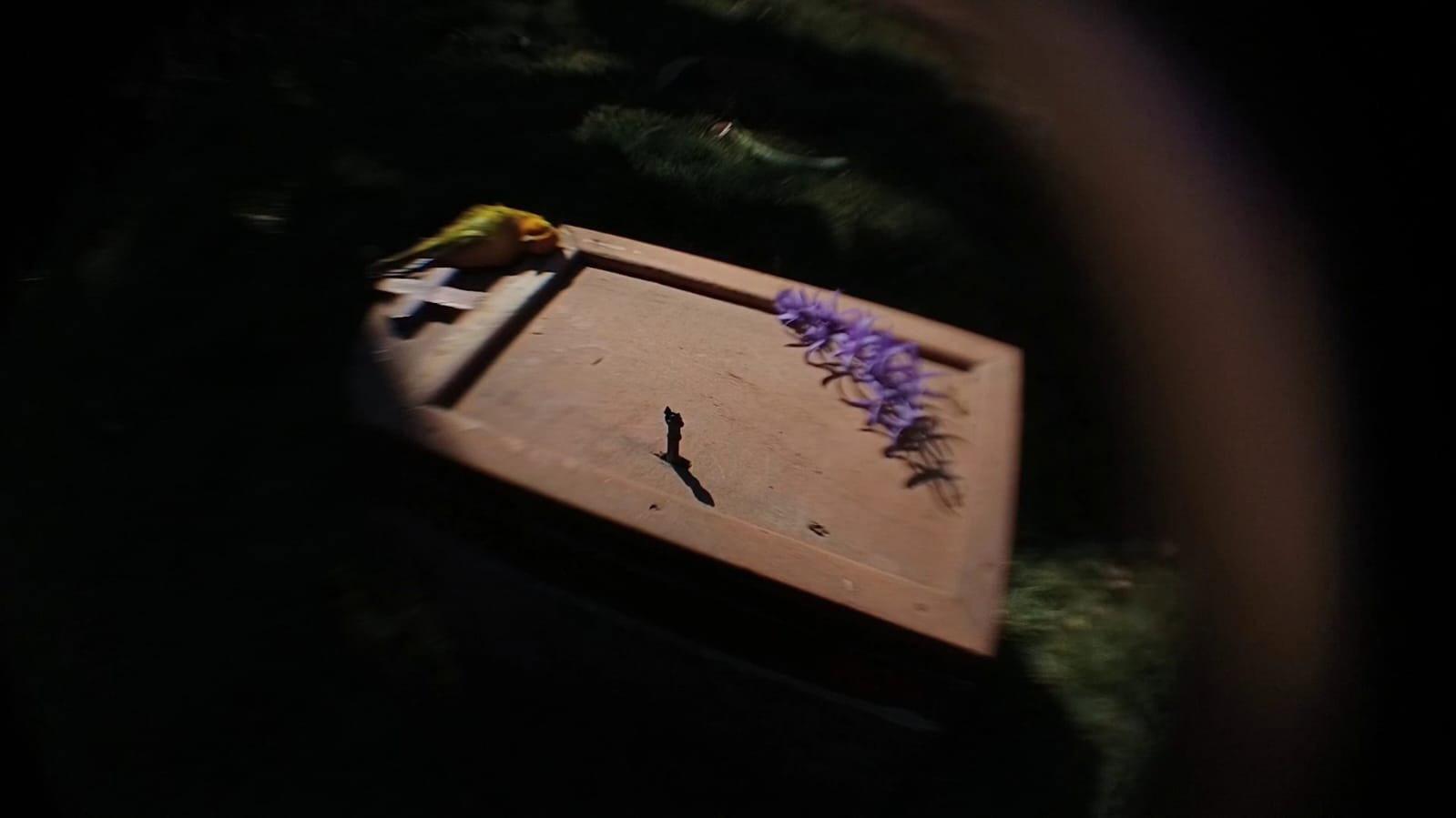 Todas as Cores da Vida e da Morte 2024 movie scene