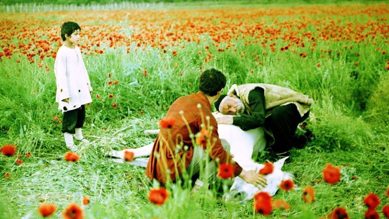 The Wishing Tree 1976 movie scene