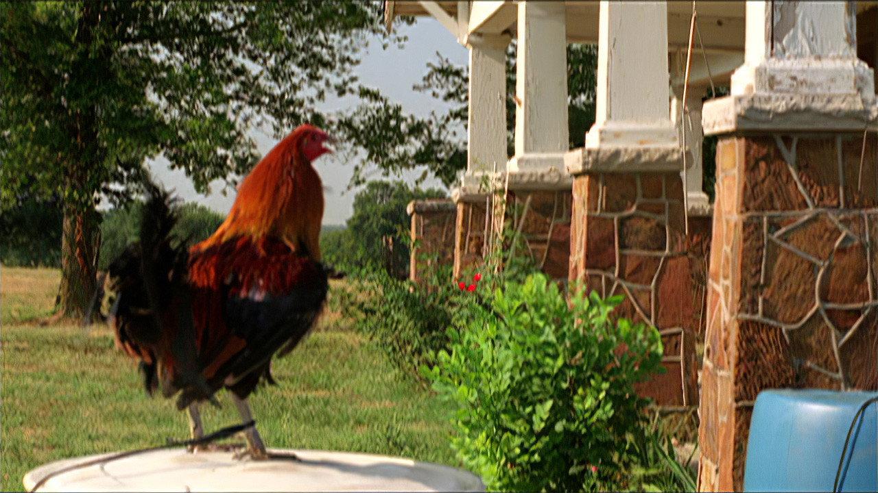 The Round and Round 2002 movie scene
