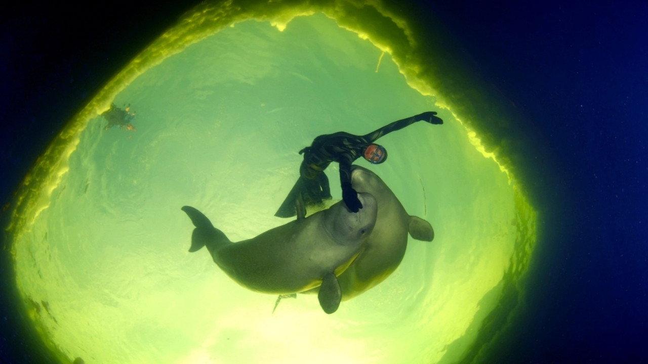 Born to Be Free 2017 movie scene