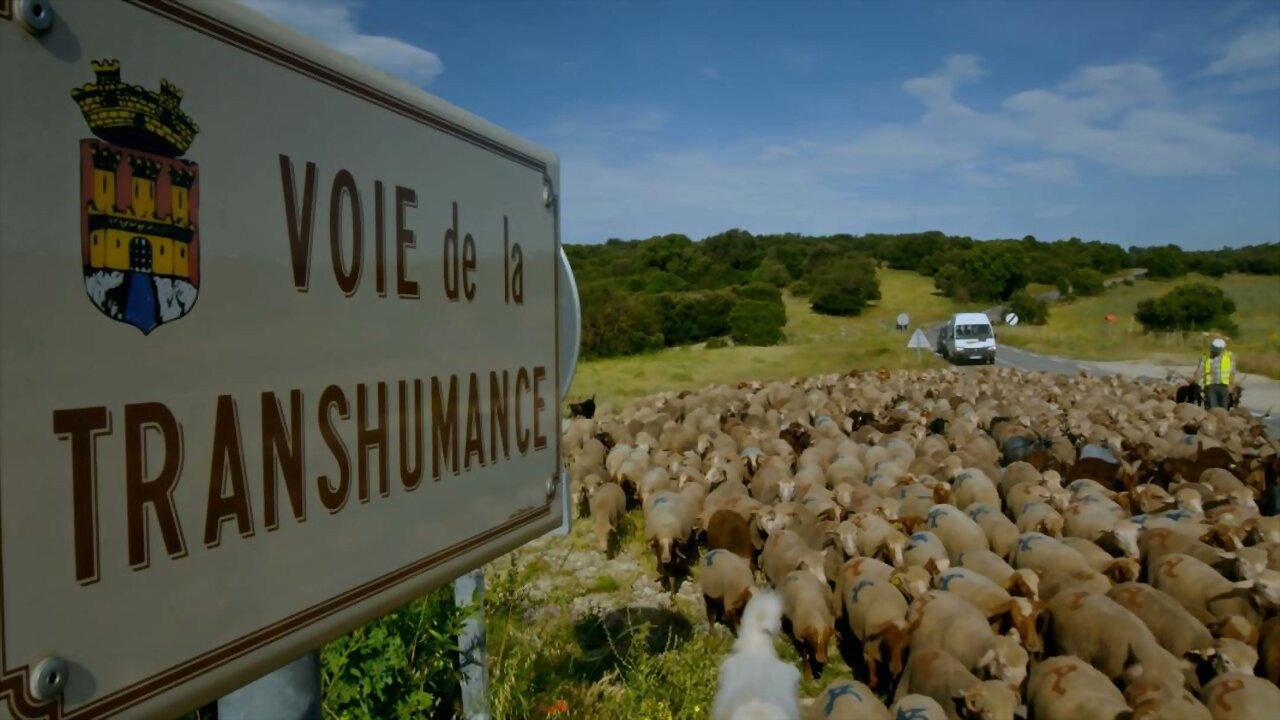 Sur la Route des Bergers movie scene