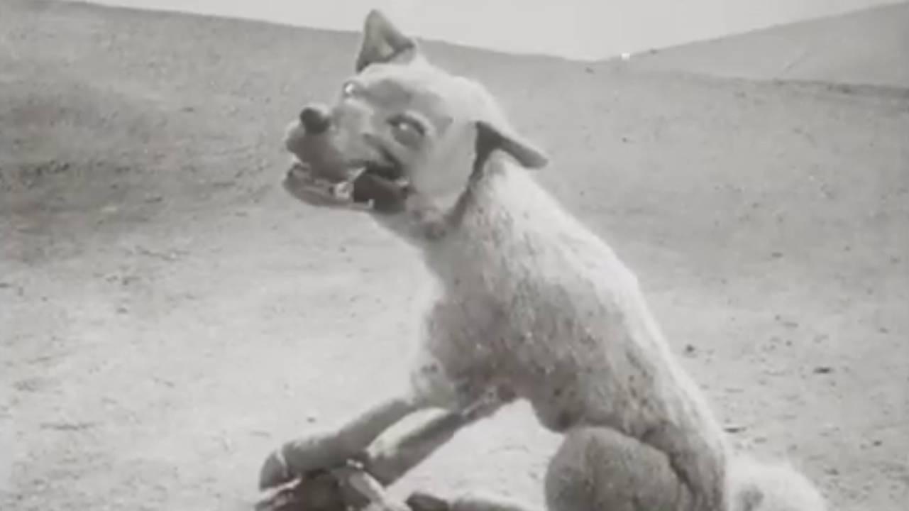 The Wolf and the Crane 1936 movie scene