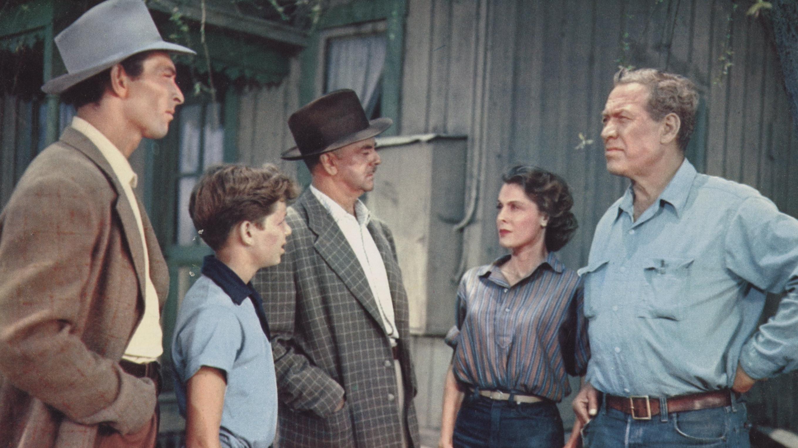 Gypsy Colt 1954 movie scene
