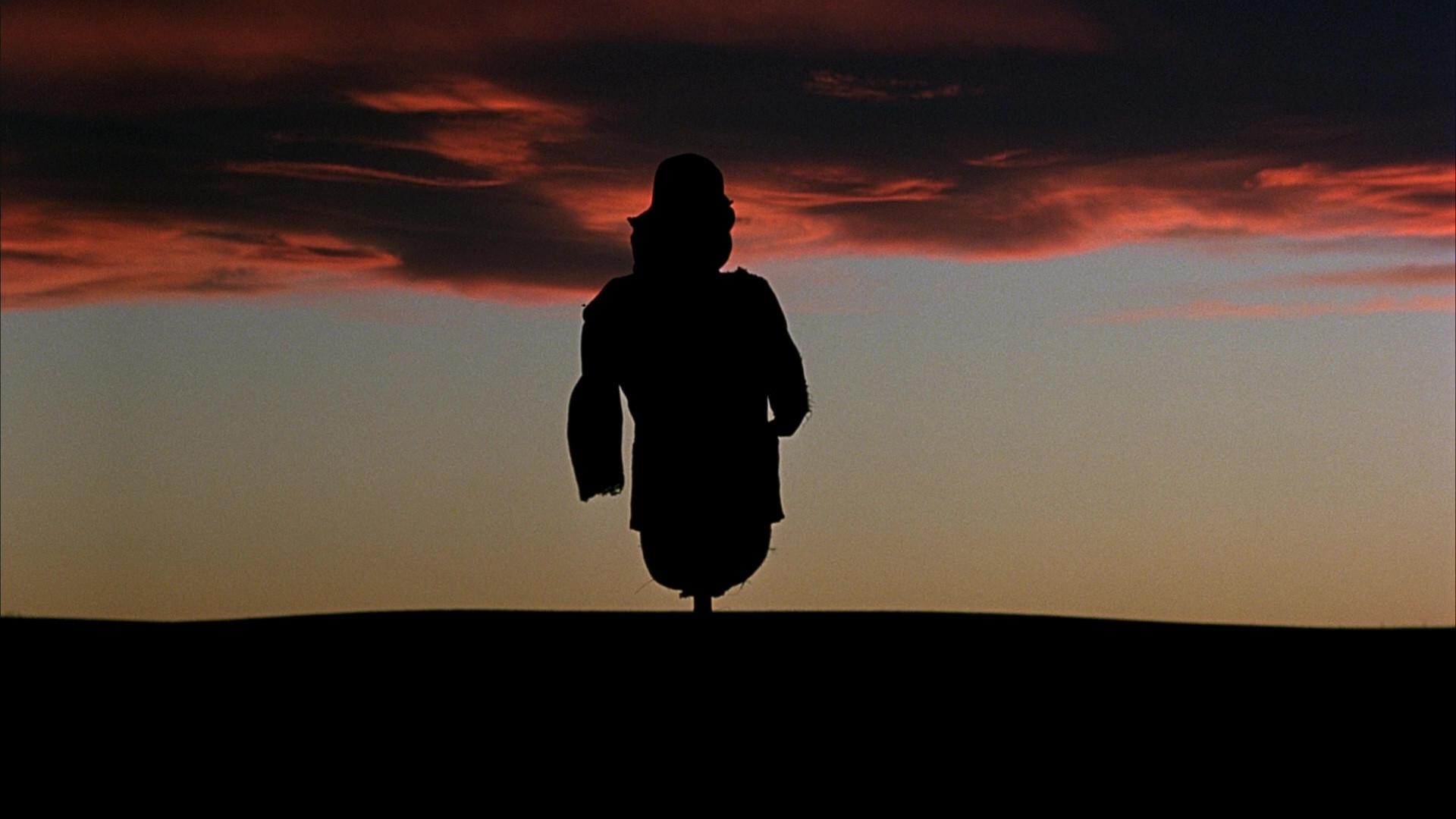 Days of Heaven 1978 movie scene