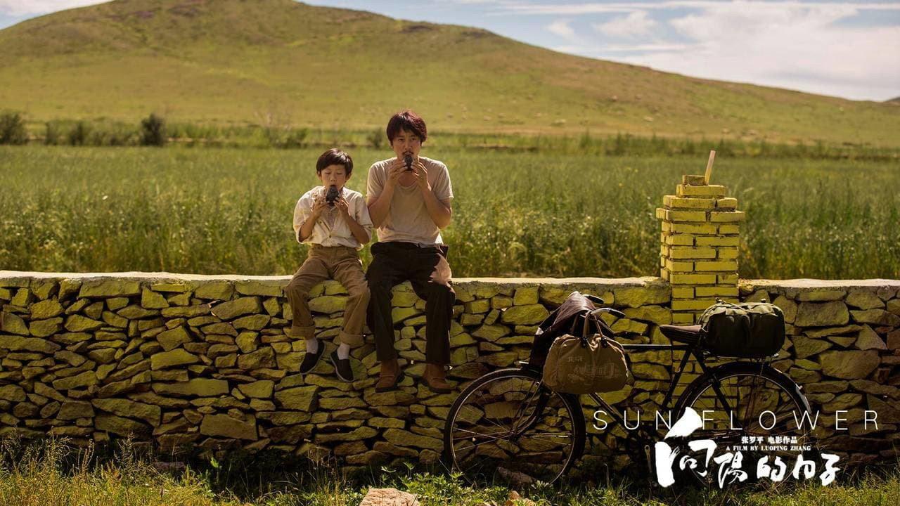 Sun Flower 2018 movie scene