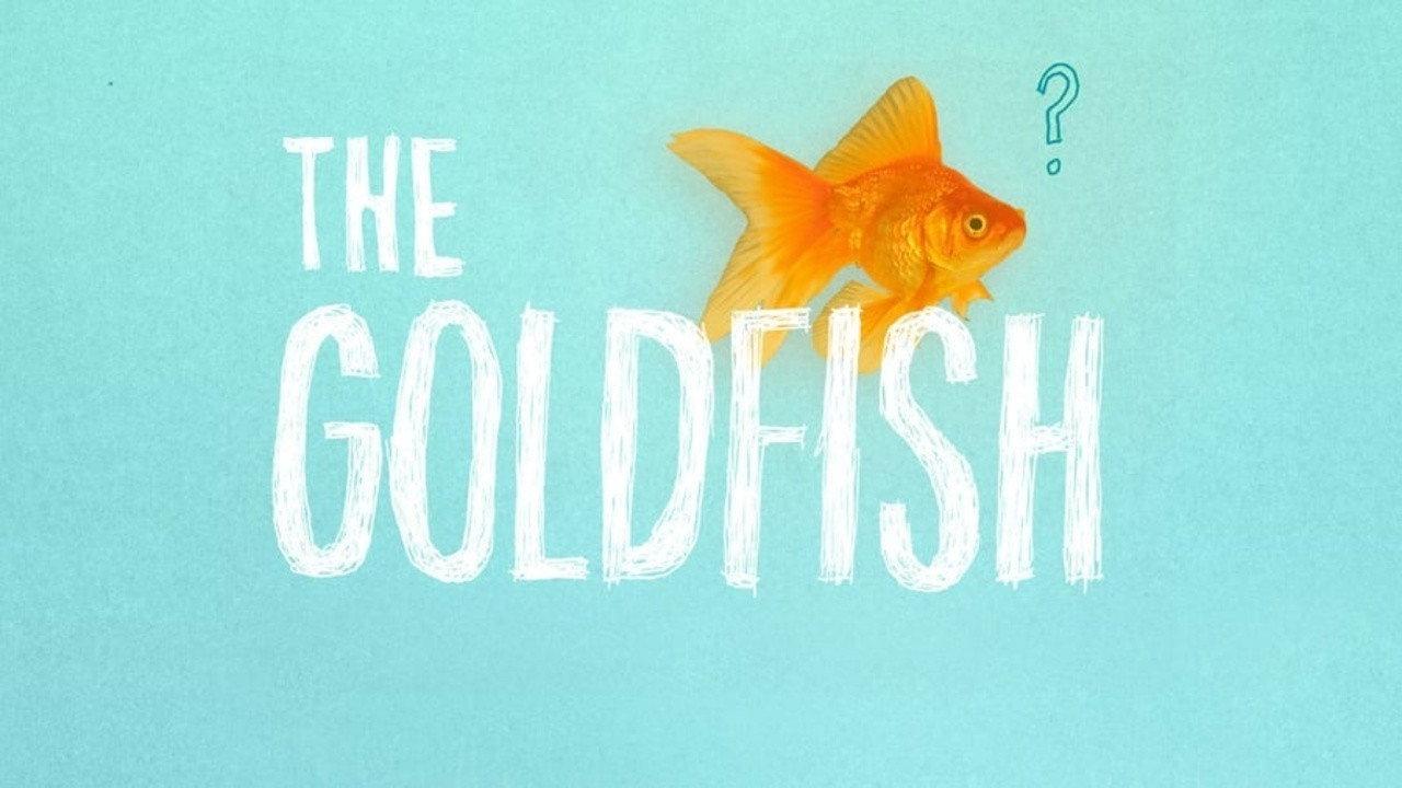 The Goldfish 2013 movie scene