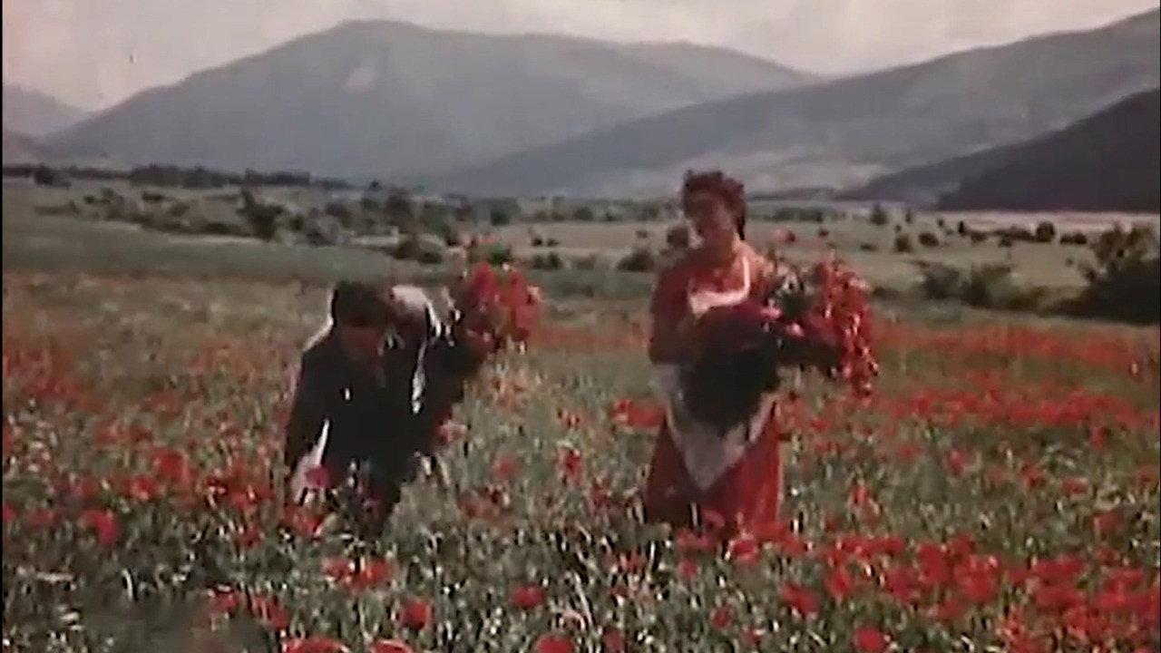 Chrichina 1954 movie scene