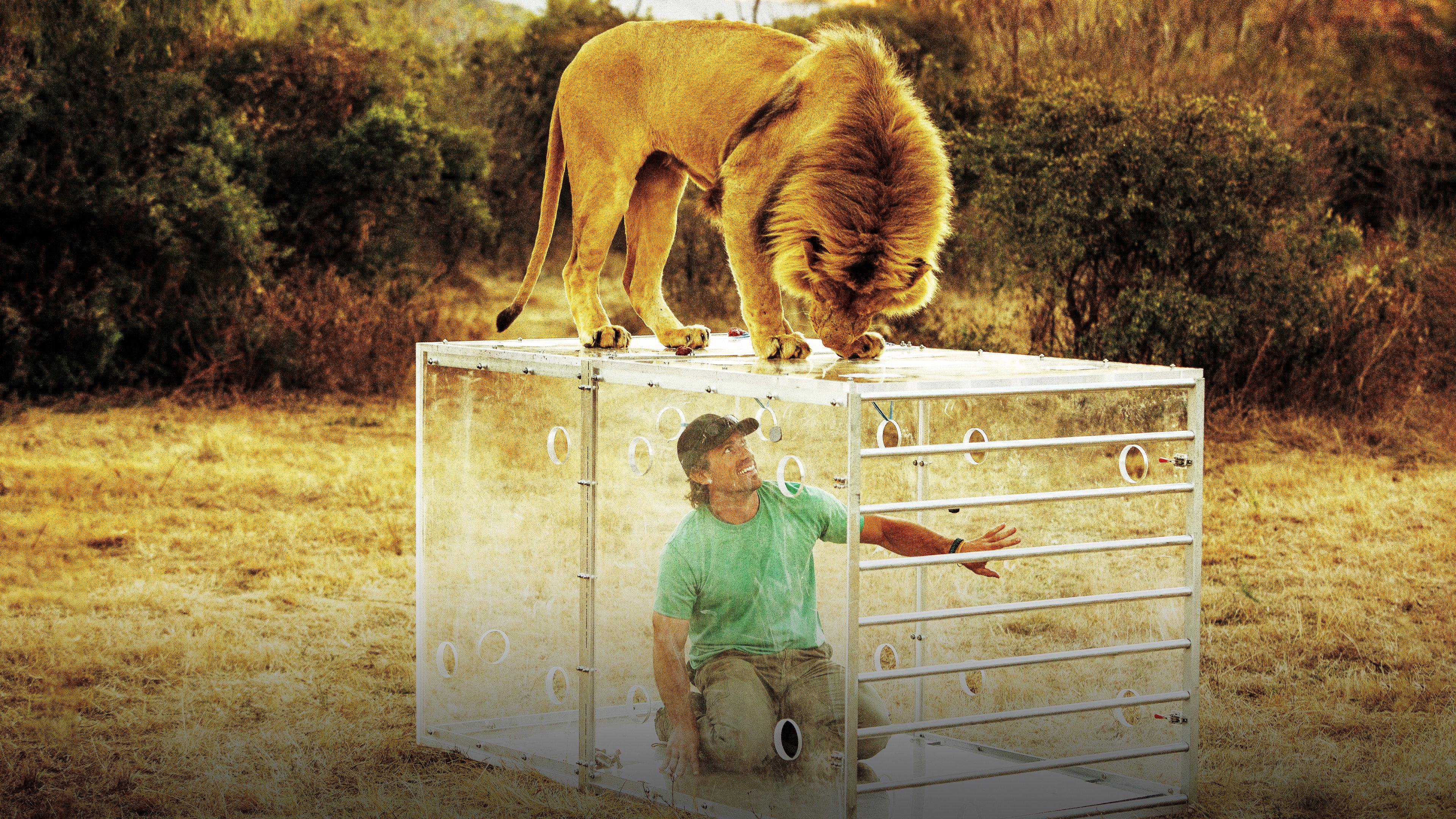 Man V. Lion 2014 movie scene