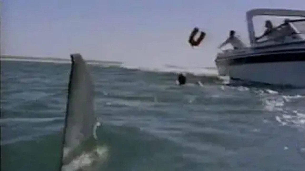 Shark's Paradise 1986 movie scene