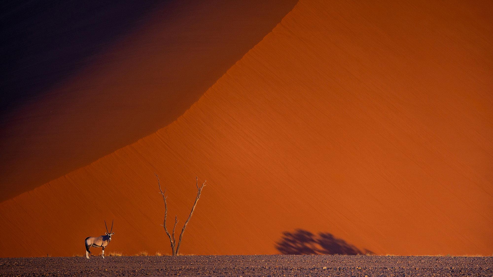 Namibie : exceptionnelle par nature 2026 movie scene