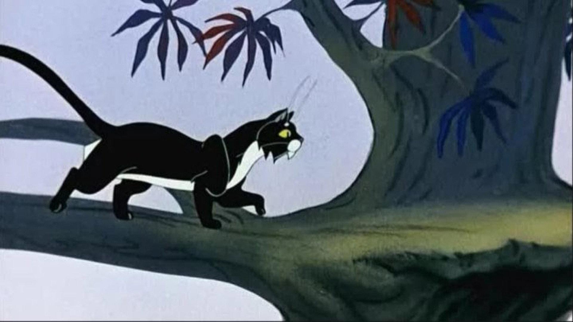 The Cat That Walked by Himself 1968 movie scene