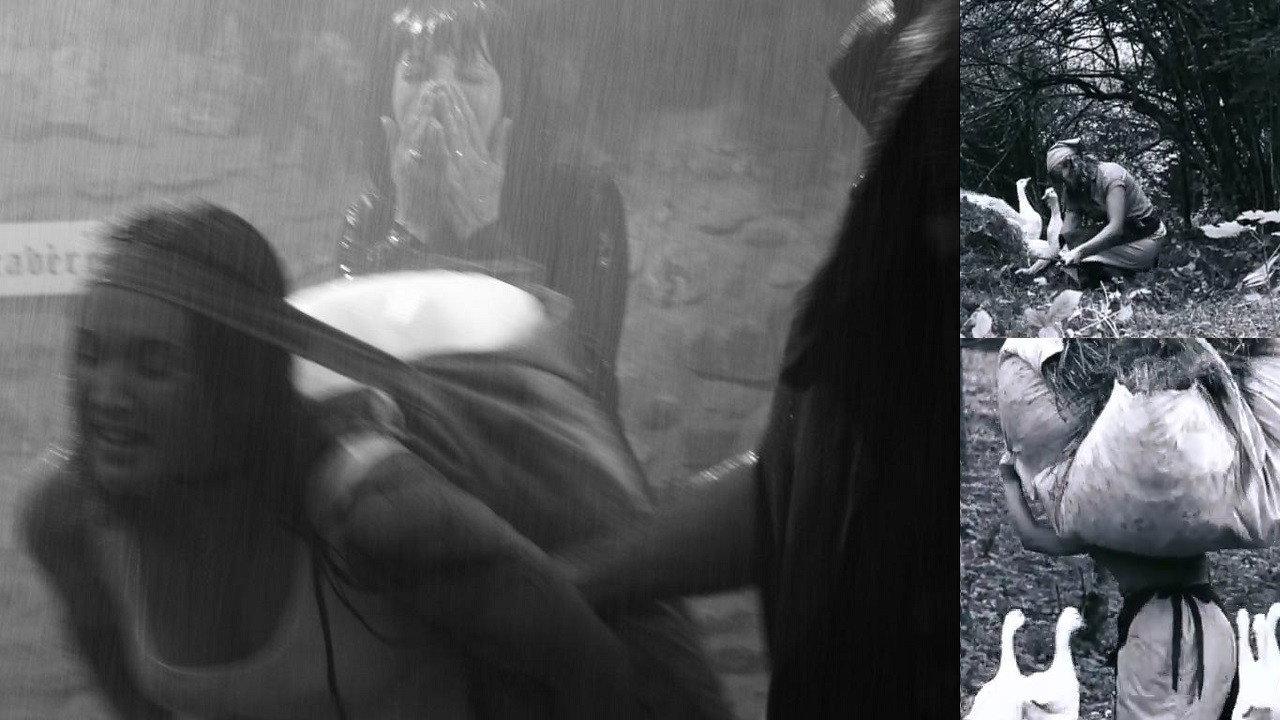 The Goose-Girl at the Well 2007 movie scene