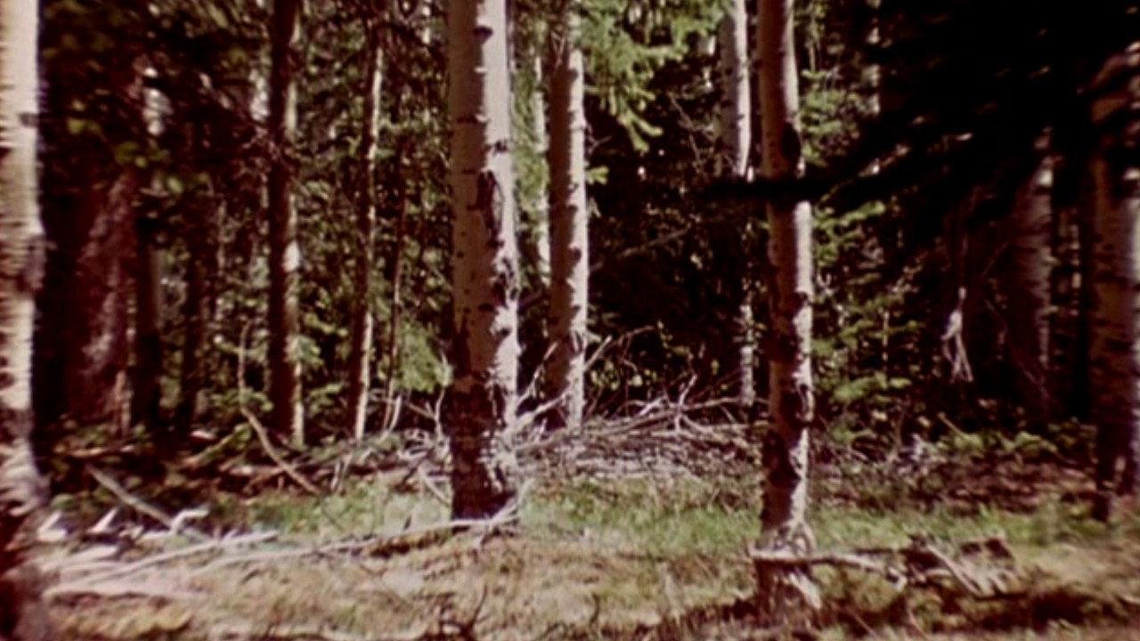 The Wold-Shadow 1972 movie scene
