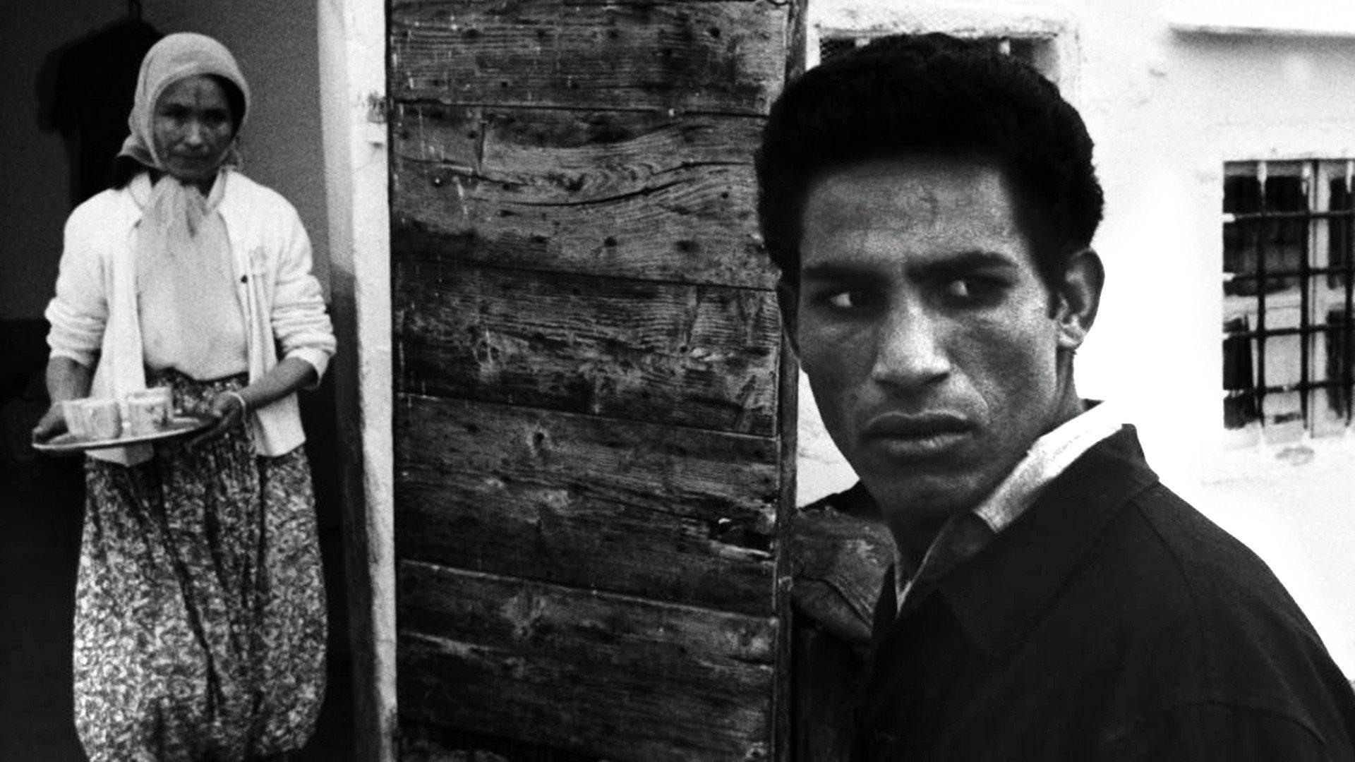 The Battle of Algiers 1966 movie scene