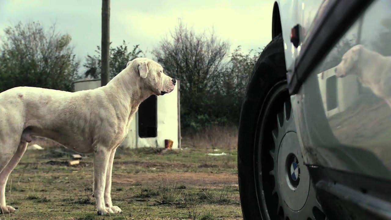The Lord's Ride 2010 movie scene