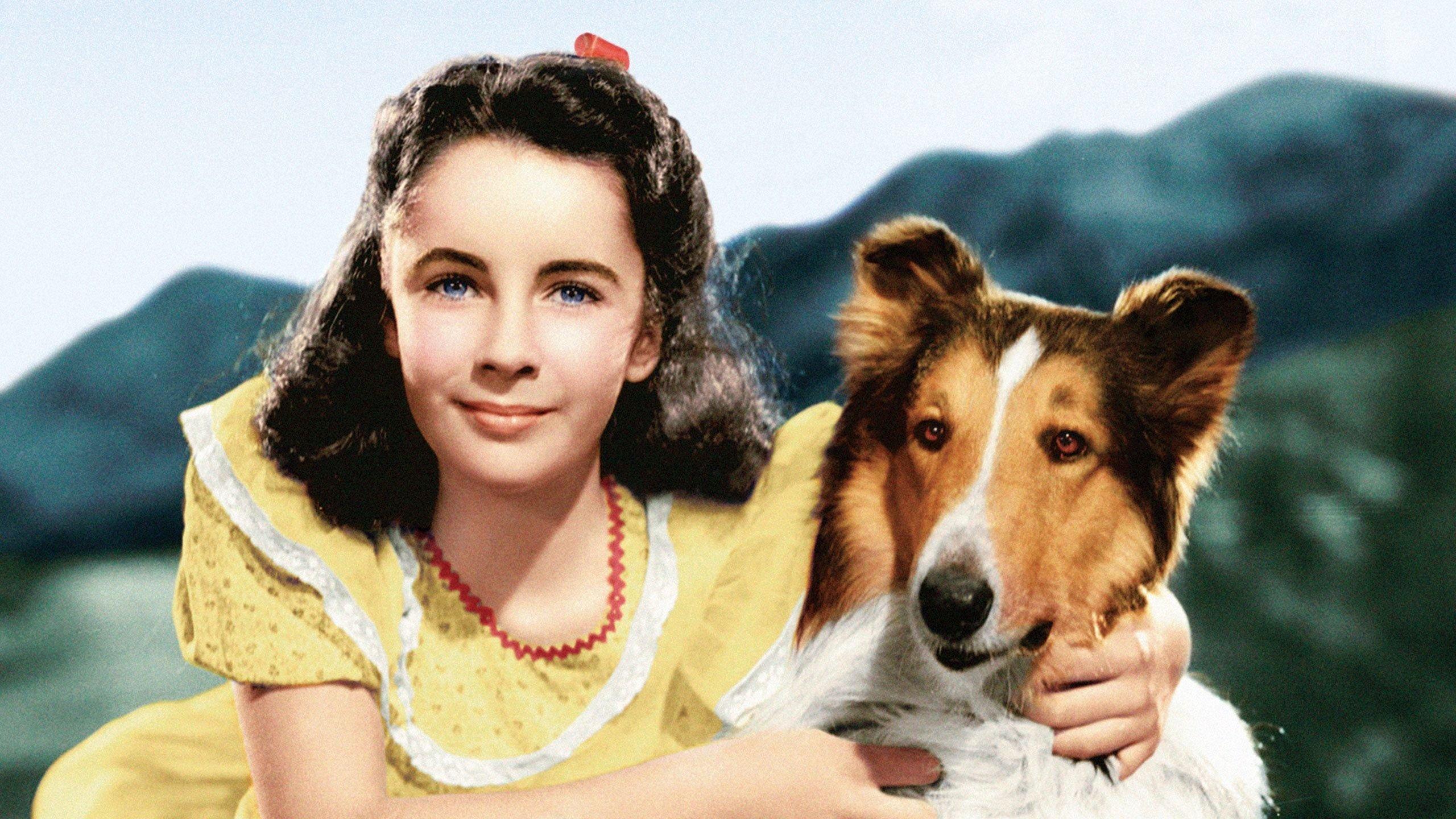 Courage of Lassie 1946 movie scene