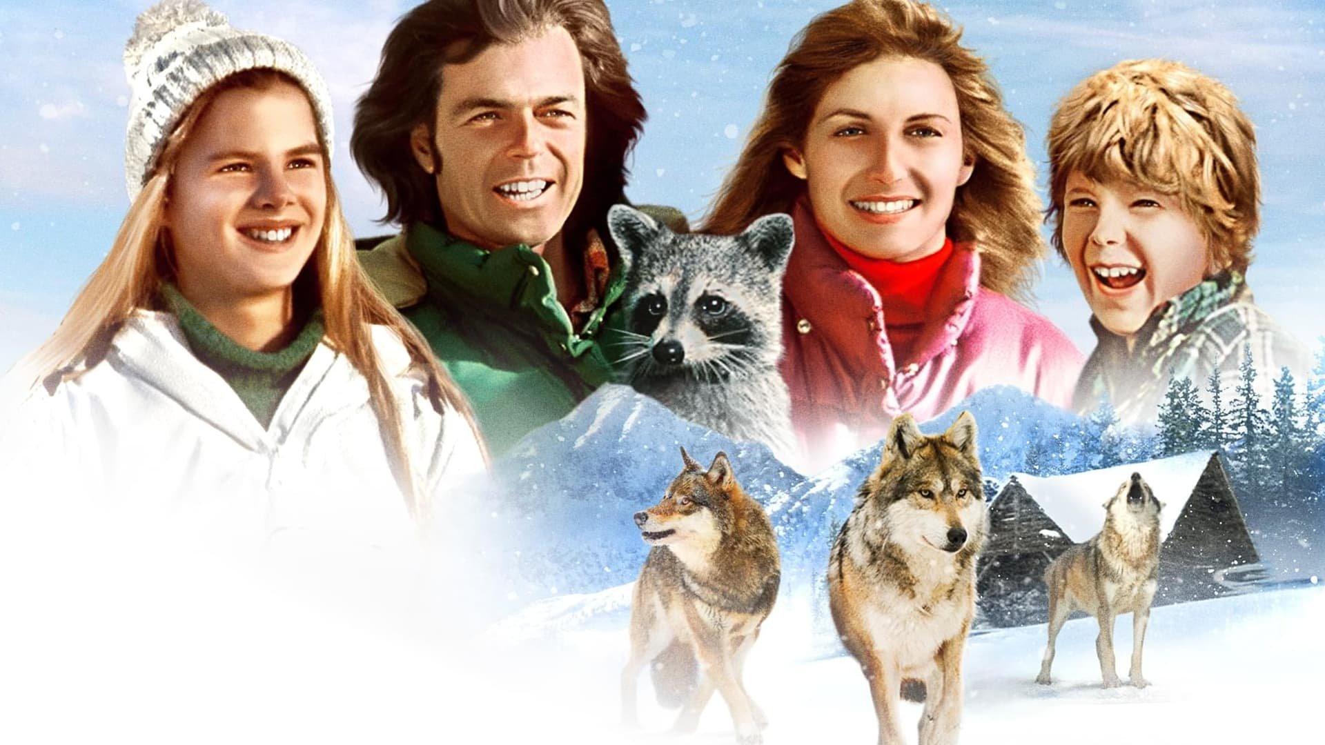 Adventures of the Wilderness Family 2 1978 movie scene
