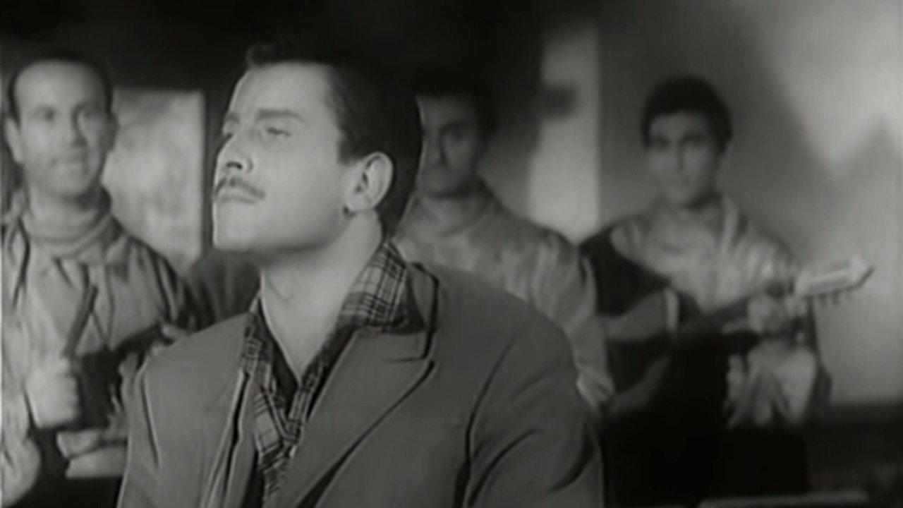 Accadde di notte 1956 movie scene