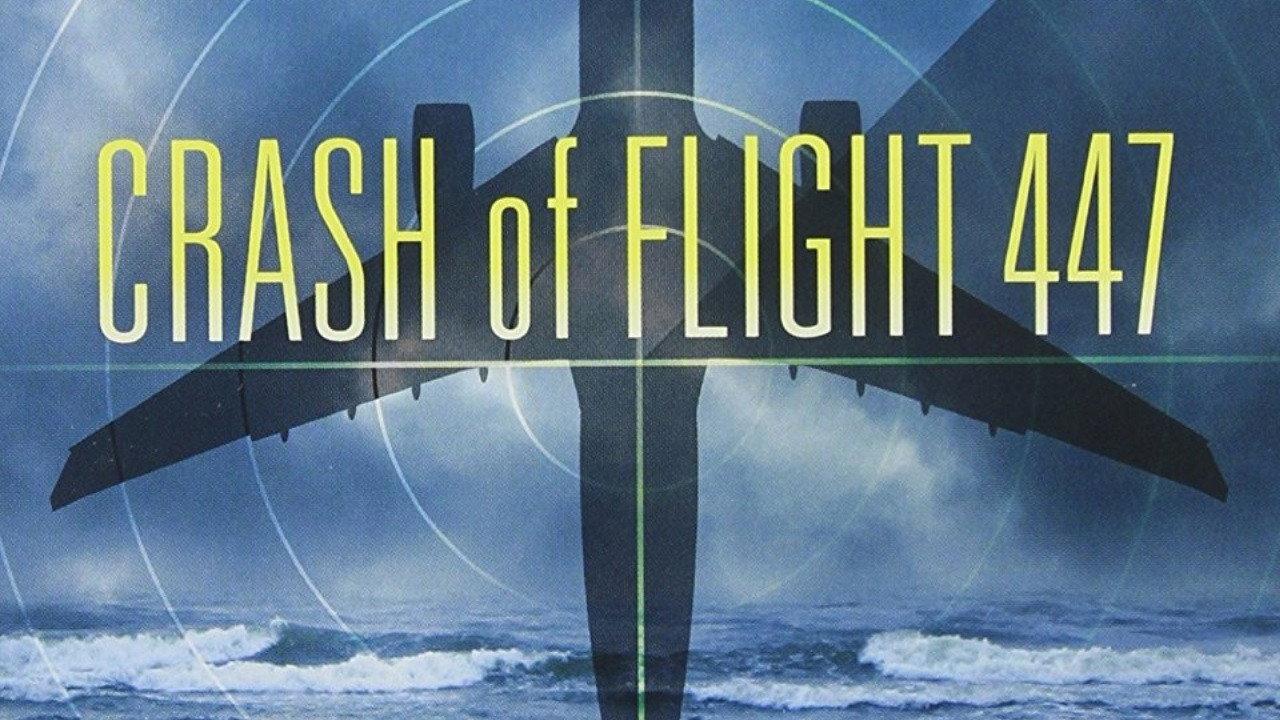 Crash of Flight 447 2010 movie scene