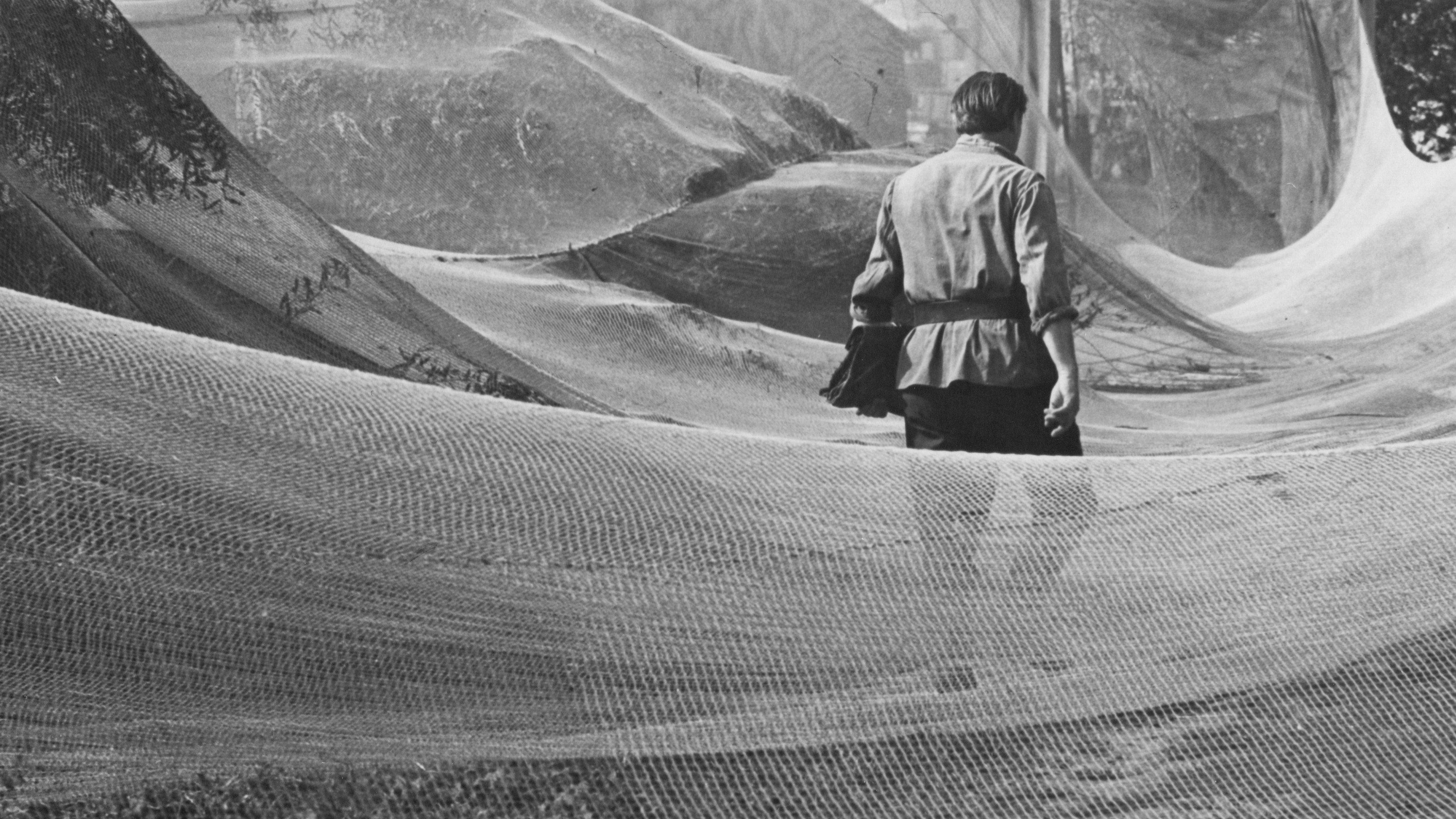 June, the Beginning of Summer 1969 movie scene