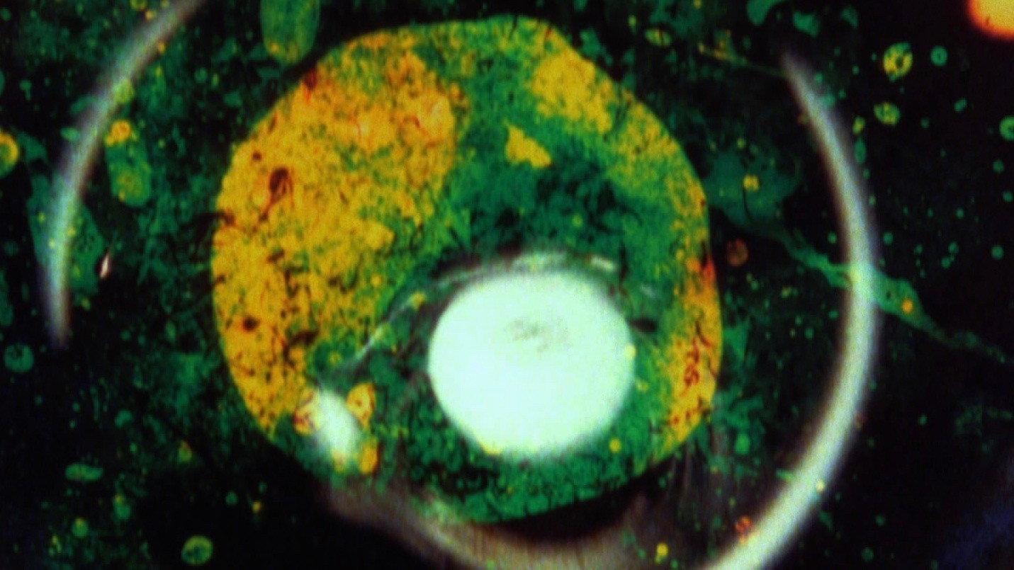 By Brakhage: An Anthology, Volume One 2003 movie scene