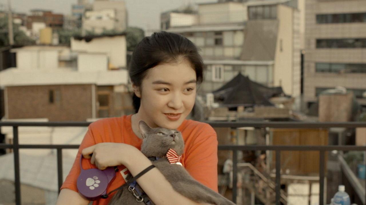 Hello, My Cat 2019 movie scene