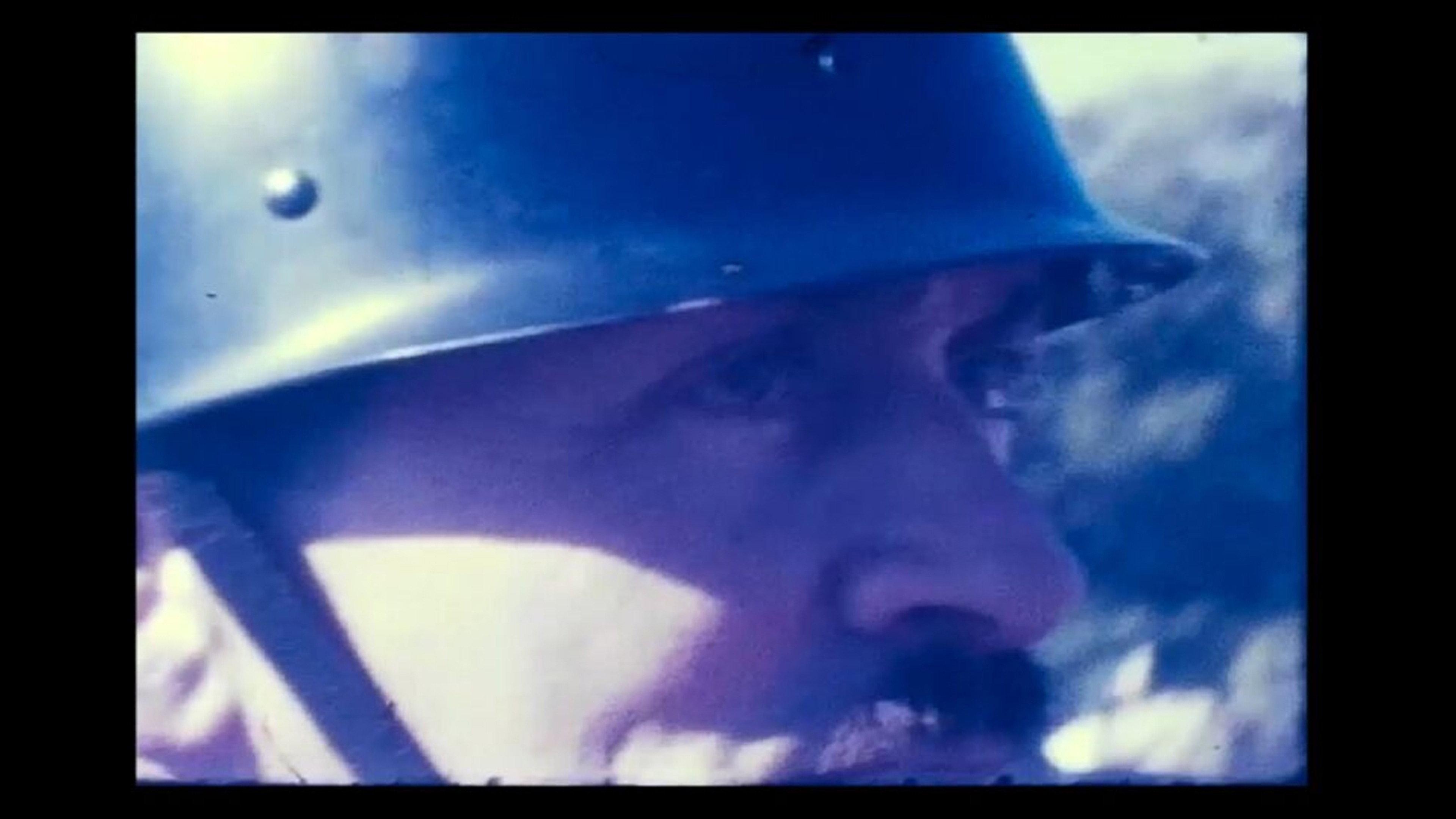 Zoo 1969 movie scene