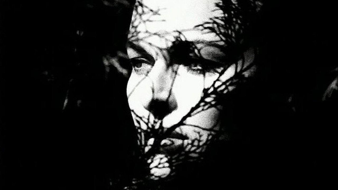 Nocturne 29 1969 movie scene