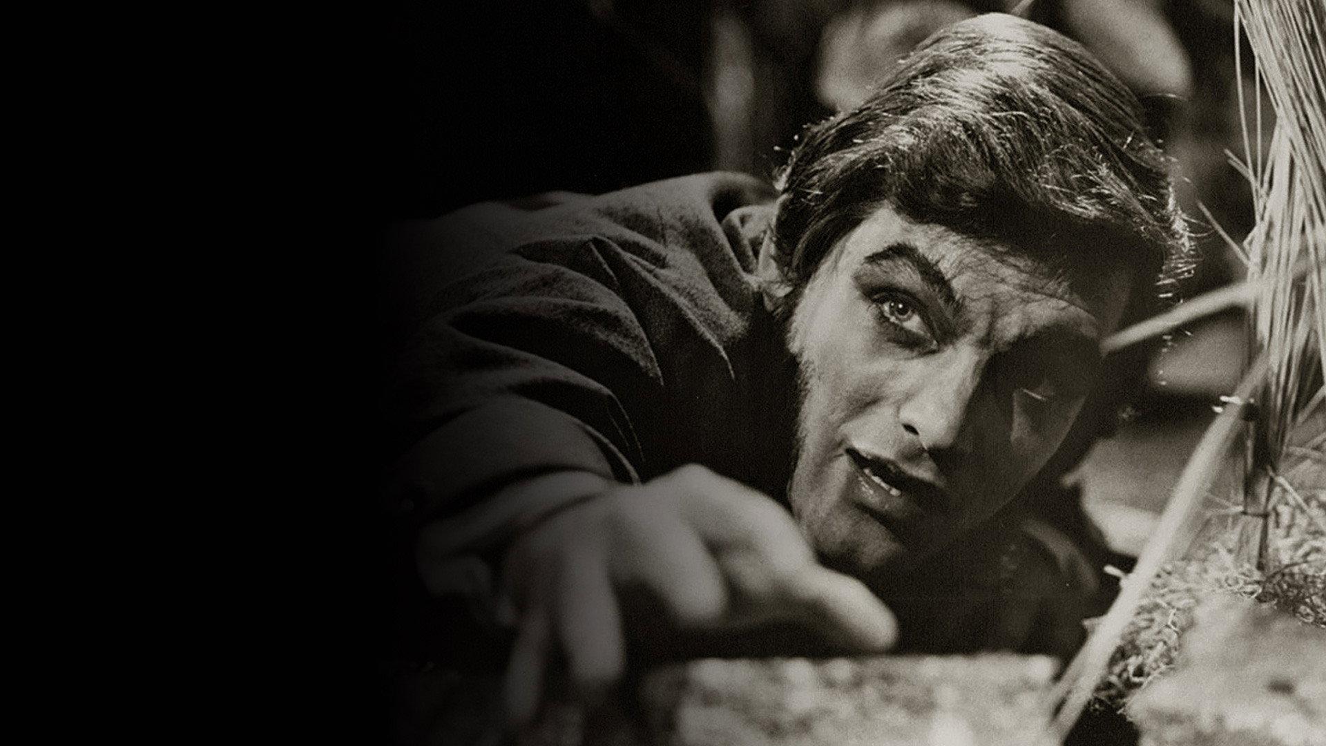 Dark Shadows: The Haunting of Collinwood 2009 movie scene