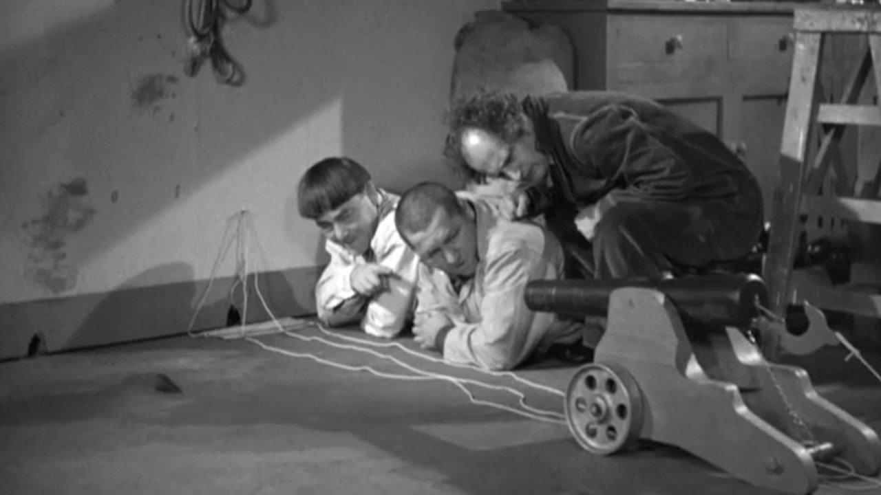 Termites of 1938 1938 movie scene