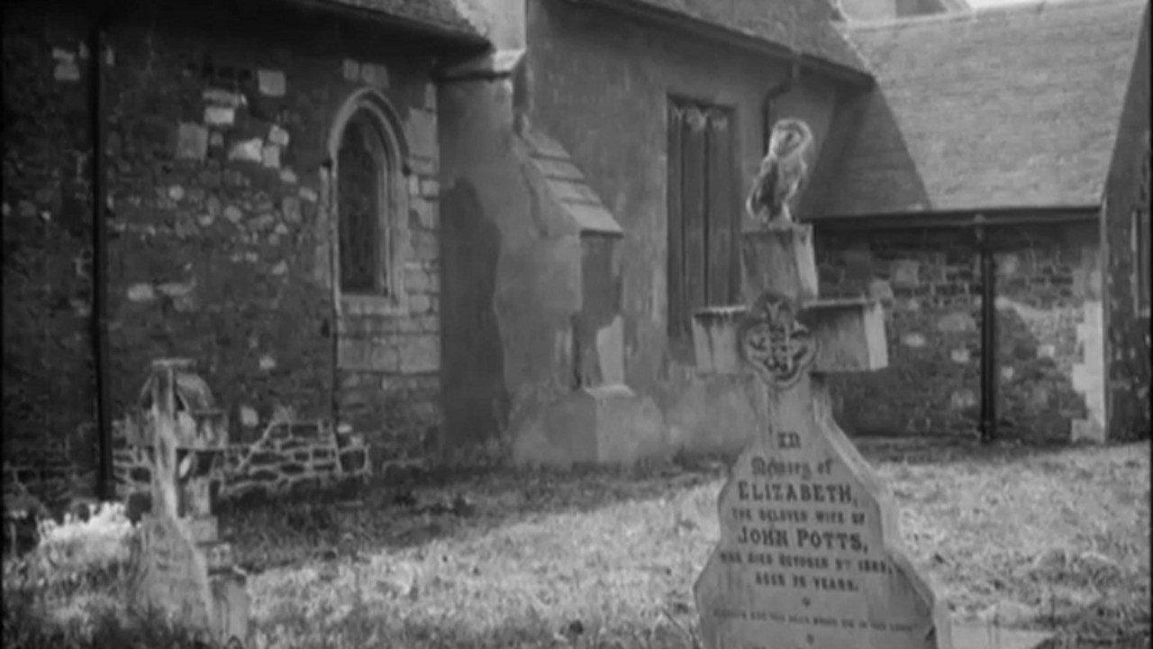 The White Owl 1922 movie scene