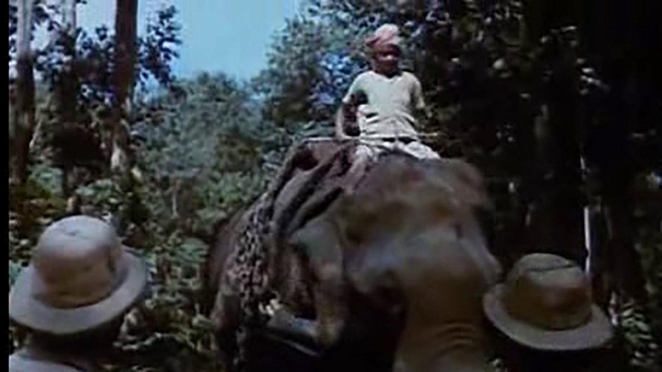 Black Mountain 1971 movie scene