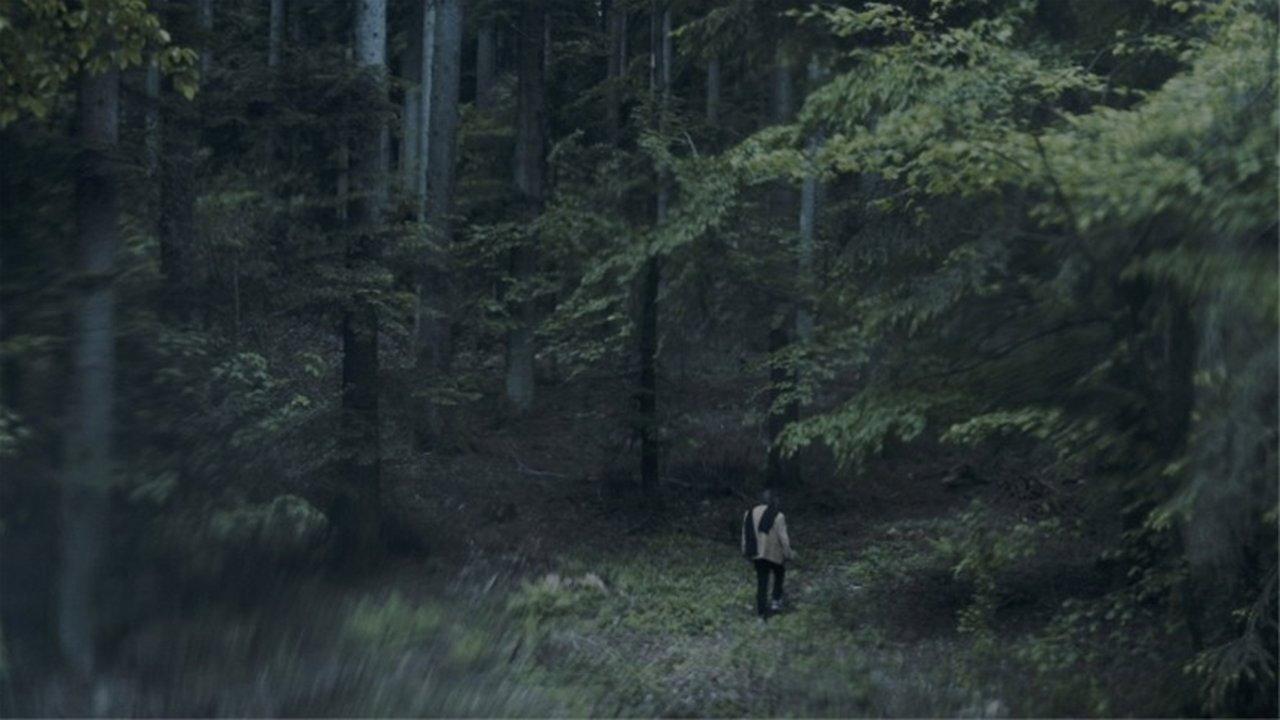The Luminous View 2021 movie scene