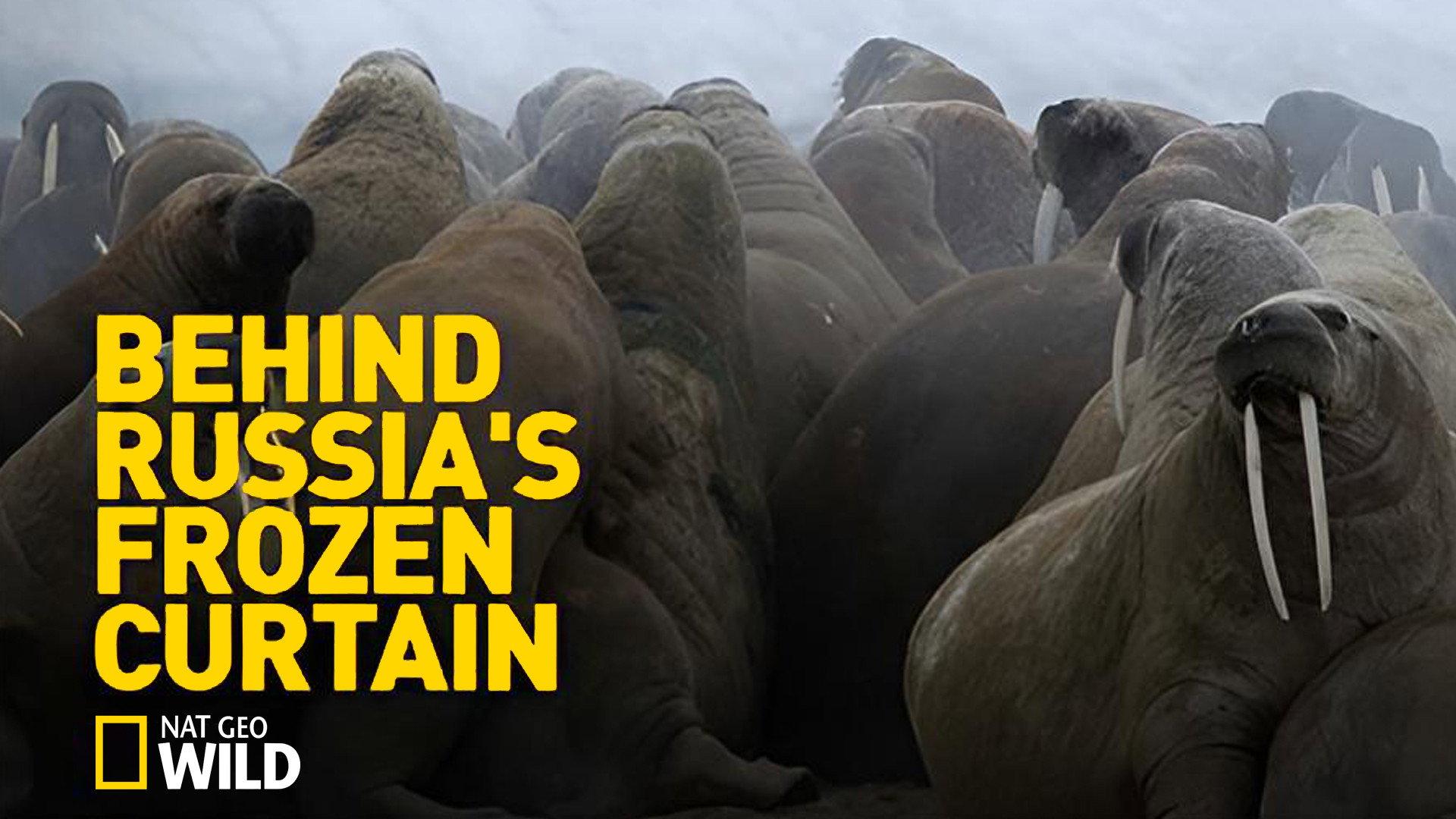 Behind Russia's Frozen Curtain 2015 movie scene