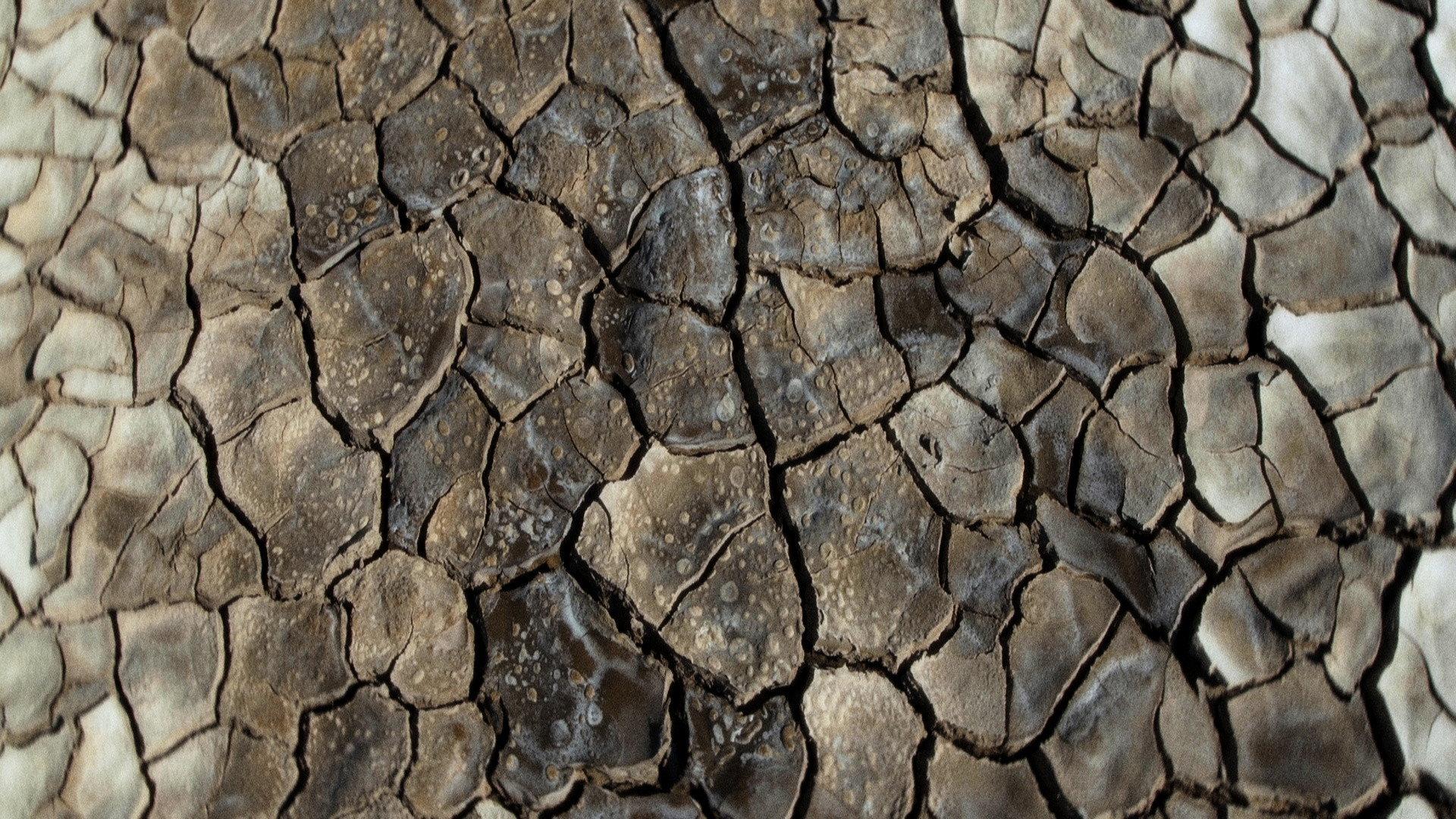 What Does the Mud Whisper? 2025 movie scene