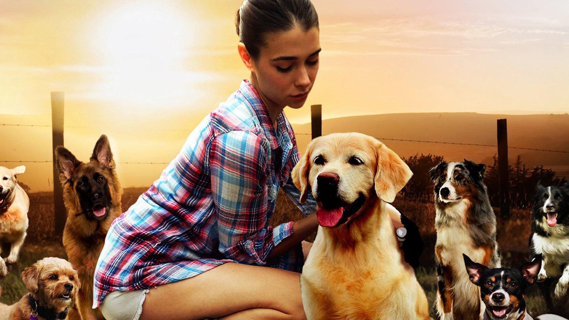 The Dog Lover 2016 movie scene