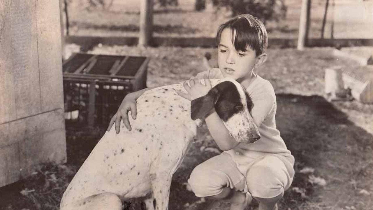 The Biscuit Eater 1940 movie scene