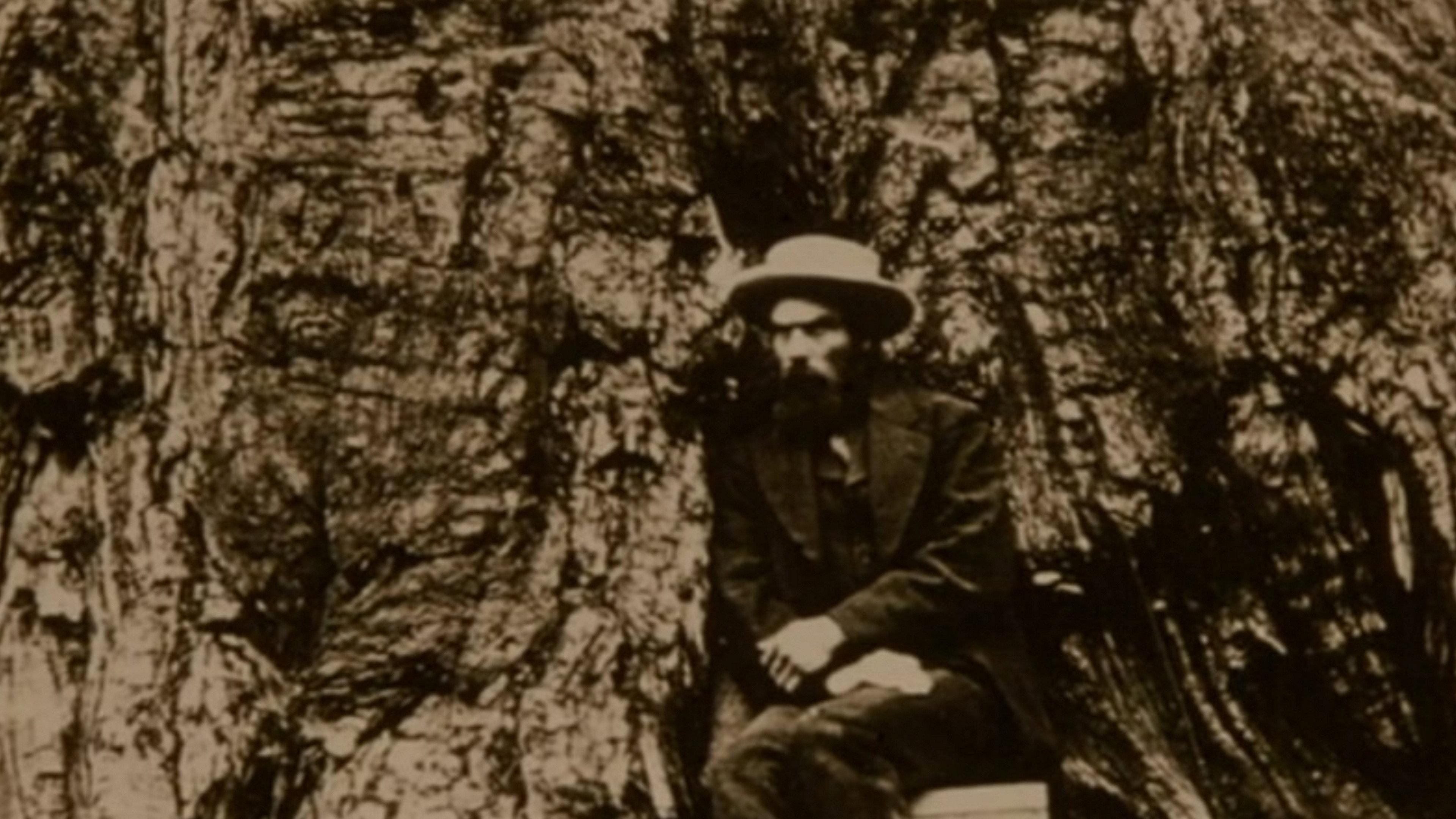 Eadweard Muybridge, Zoopraxographer 1975 movie scene