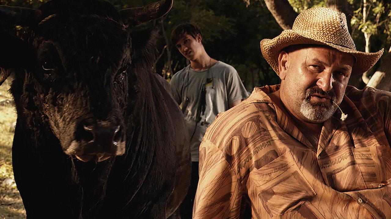 Sonja and the Bull 2012 movie scene