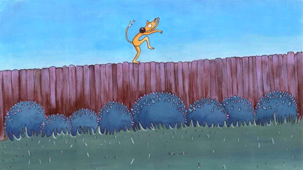 Crazy Fox 2019 movie scene