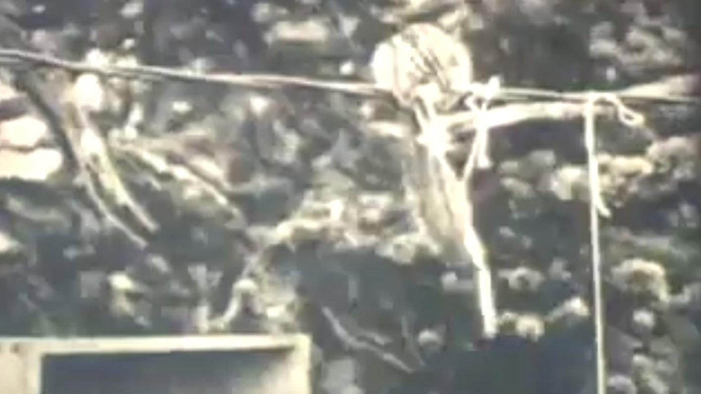 Chumming with Chipmunks 1921 movie scene